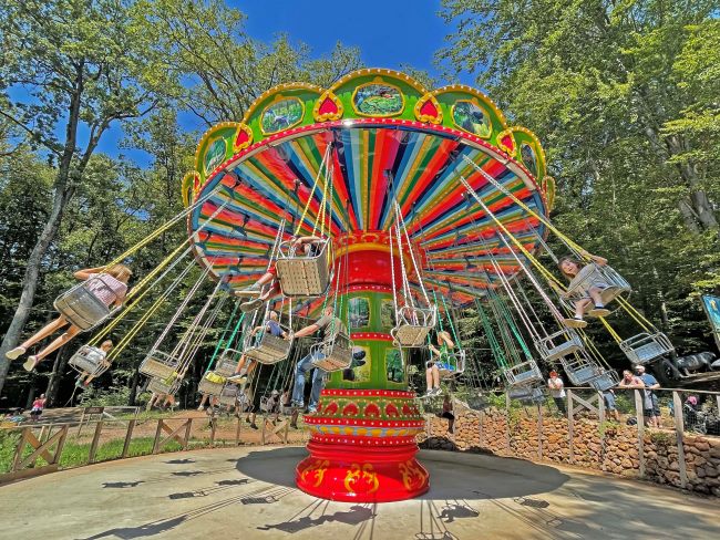 Image of dino chain carousel