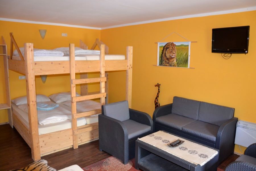 Image of Safari room 2x bunk bed