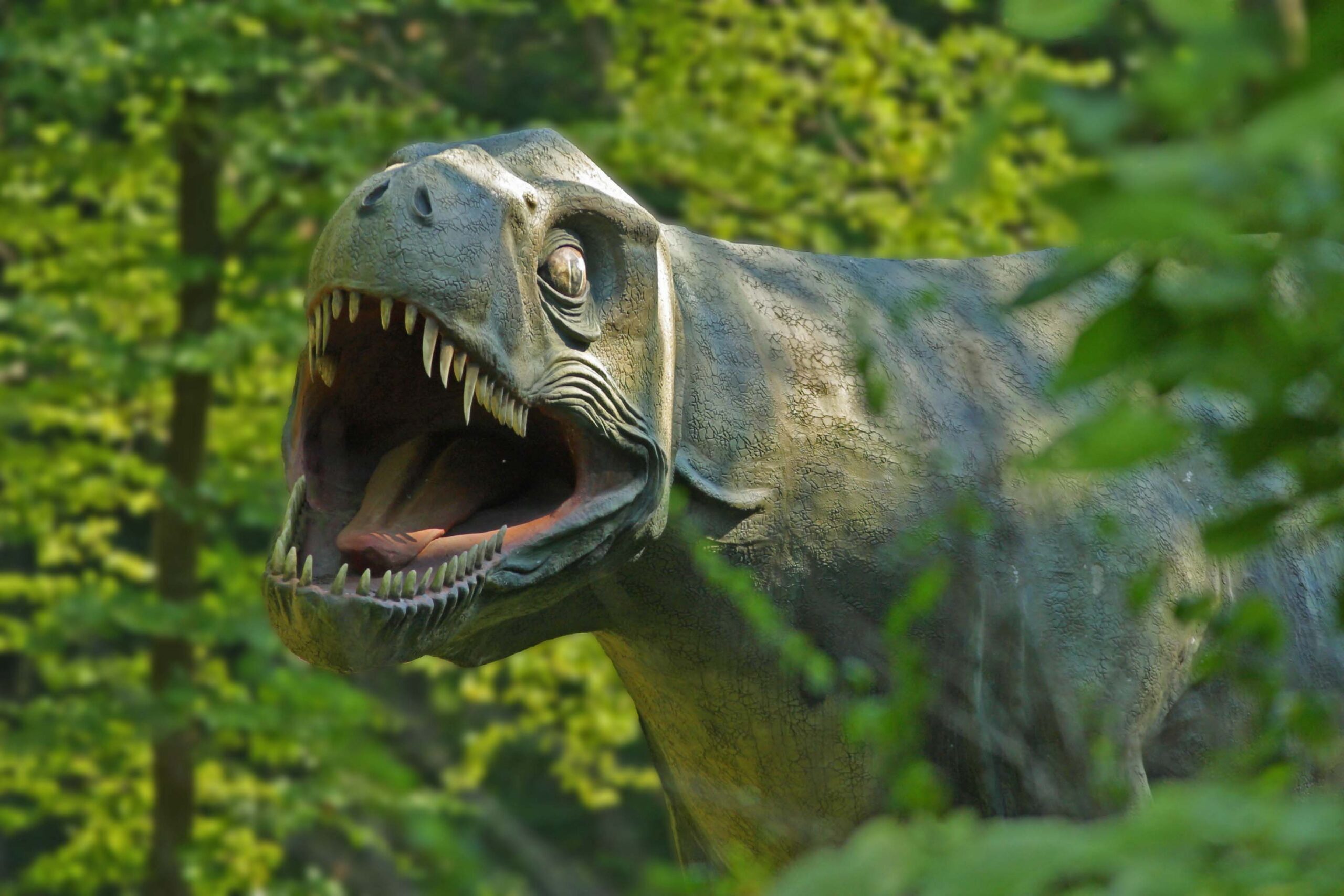 Image of Tyrannosaurus Rex in styrassic park in bad gleichenberg