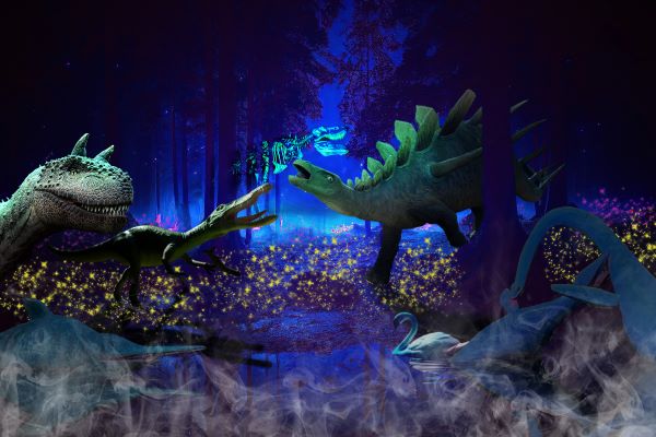 Image of Styrassic Night lightmagic in winter season in bad gleichenberg