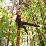 Picture of high ropes courses in Styrassic Park