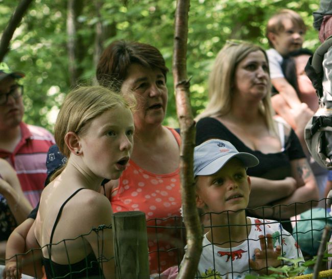 Bild von staunenden Besucher im Styrassic Park