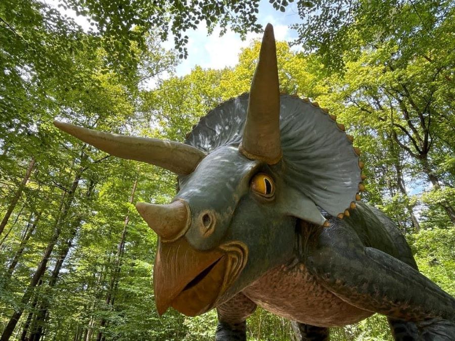 Bild vom Triceratops im Styrassic Park