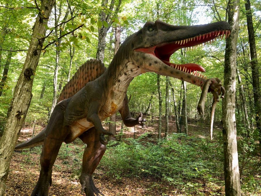 Bild vom Spinosaurus im Styrassic Park