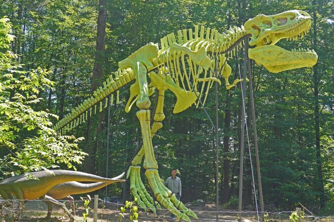 Bild vom größten leuchtenden T-REX Skelett in Bad Gleichenberg