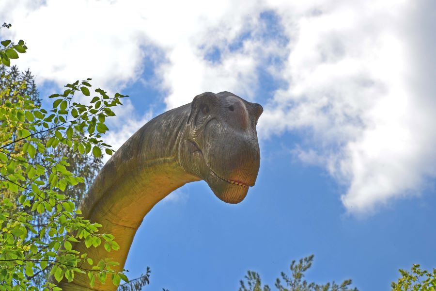 Bild vom 13 Meter hohen Agentinosaurus im Dino- und Erlebnispark in Bad Gleichenberg