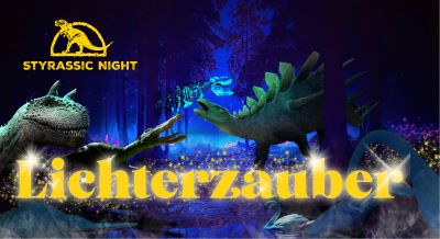Bild von Styrassic Night Lichterzauber Sujet
