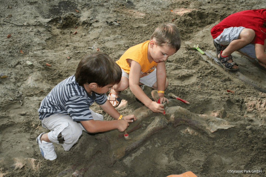 Dinoknochen Ausgrabung mit Kindern
