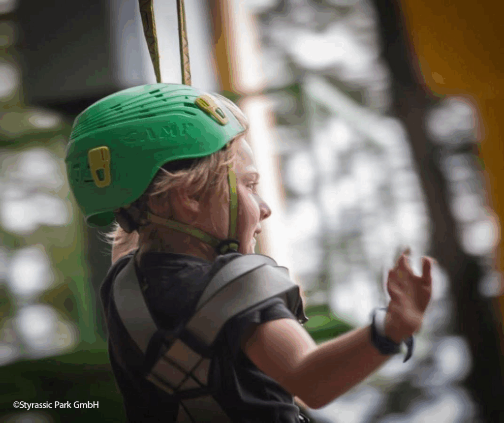 Bild von Niedrigseilgarten im Styrassic Park