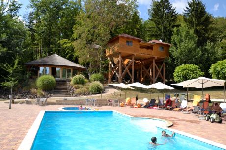 Bild von Baumhotel mit Poolanlage