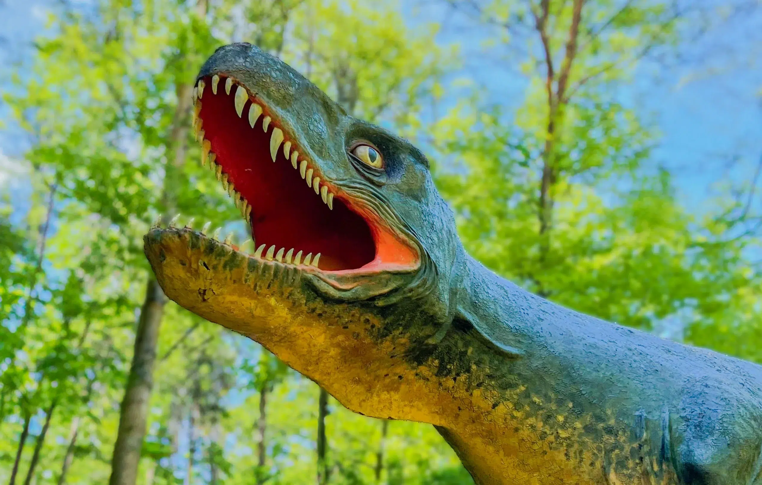 Bild von Tyrannosaurus Rex Kopf